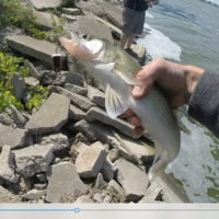 LIPLESS CRANKBAIT 2 INCH - Thumbnail 2