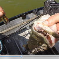 LIPLESS CRANKBAIT 2 INCH - Thumbnail 3