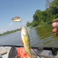 LIPLESS CRANKBAIT 2 INCH - Thumbnail 4