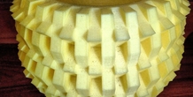 Image 222541