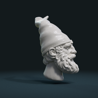 Gnome Head - Thumbnail 6