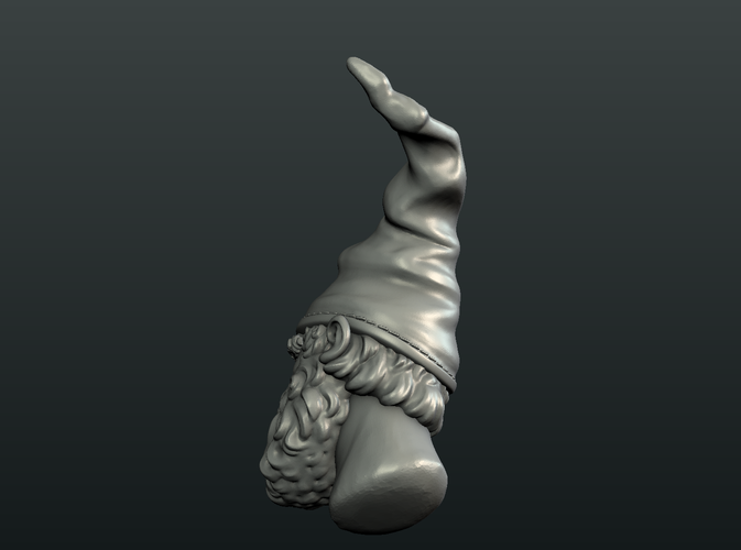 Gnome Head 3D Print 222714
