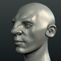 Gnome Head - Thumbnail 21