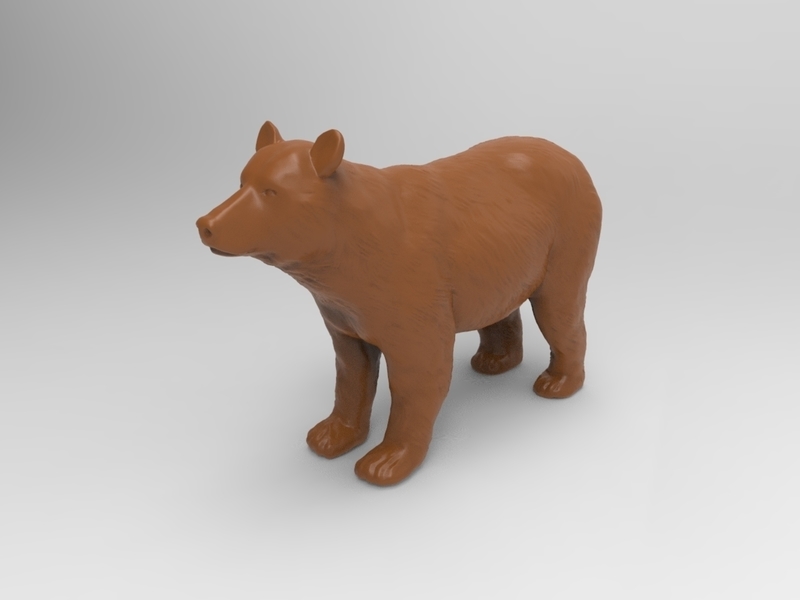 Brown Bear