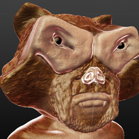 Rox The Space pirate - Thumbnail 3