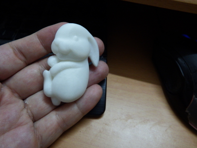 little  rabbit 3D Print 223374