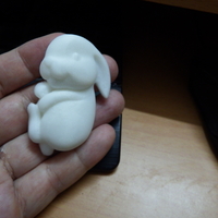 Small little  rabbit 3D Printing 223374