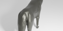 Image 223454
