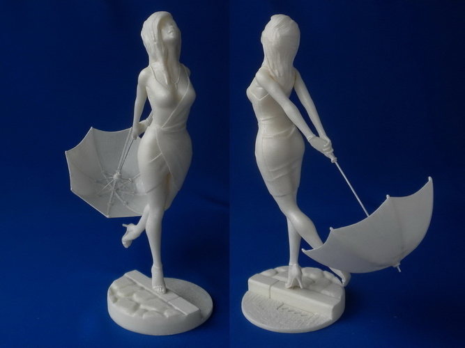 The Rain Is Over 3D Print 224655