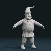 Gnome Sculpture - Thumbnail 21