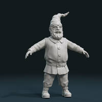 Small Gnome Sculpture 3D Printing 224898