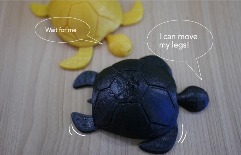 Turtle with moving legs