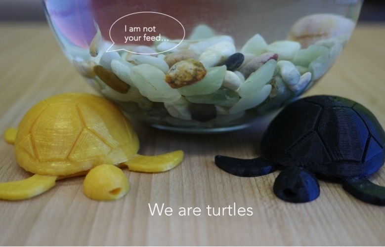 Turtle with moving legs 3D Print 22522