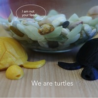 Turtle with moving legs - Thumbnail 2