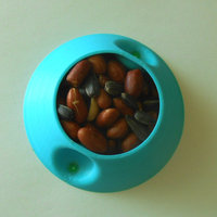 squirrel's plate - Thumbnail 3