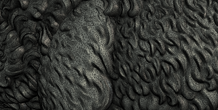 Image 225950