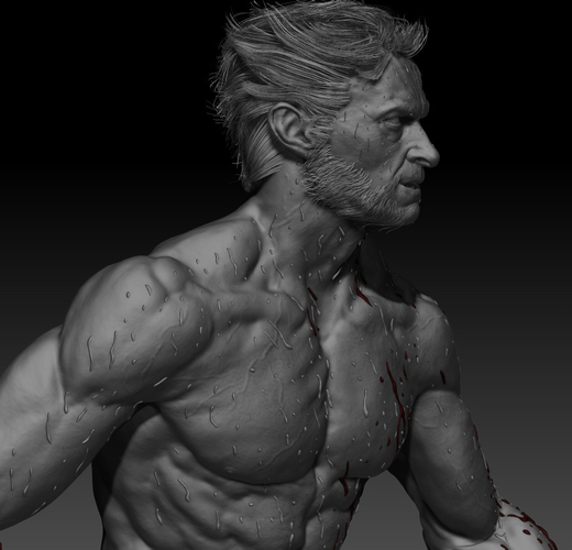 Hugh Jackman's Wolverine 3D Print 226266