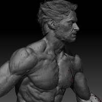 Hugh Jackman's Wolverine - Thumbnail 6