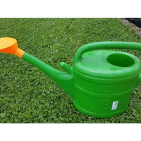 Watering Can Rose - Thumbnail 1