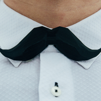 Small Moustache Bow Tie 3D Printing 226506