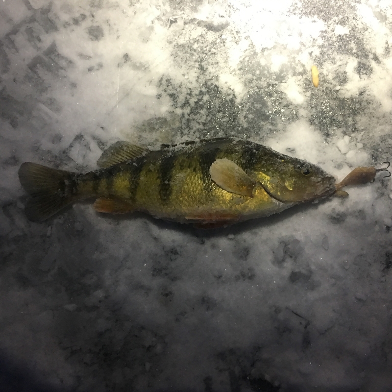 ICE CRANK ICE FISHING JIGGING LURE