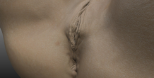 Image 226687