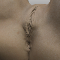 Female body 3 - Thumbnail 10