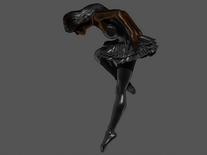 Black Swan 3D Print 226792