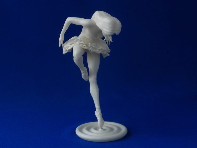 Black Swan 3D Print 226795