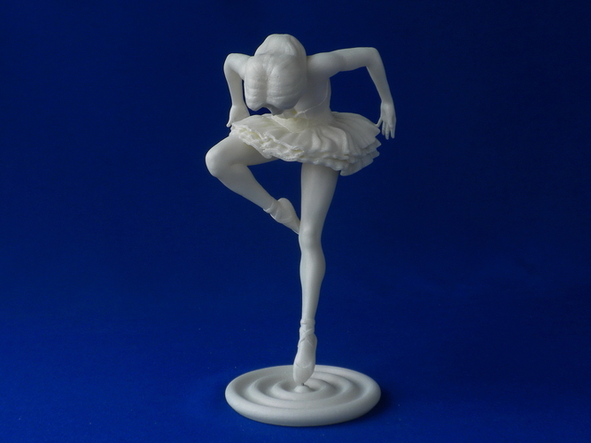 Black Swan 3D Print 226797