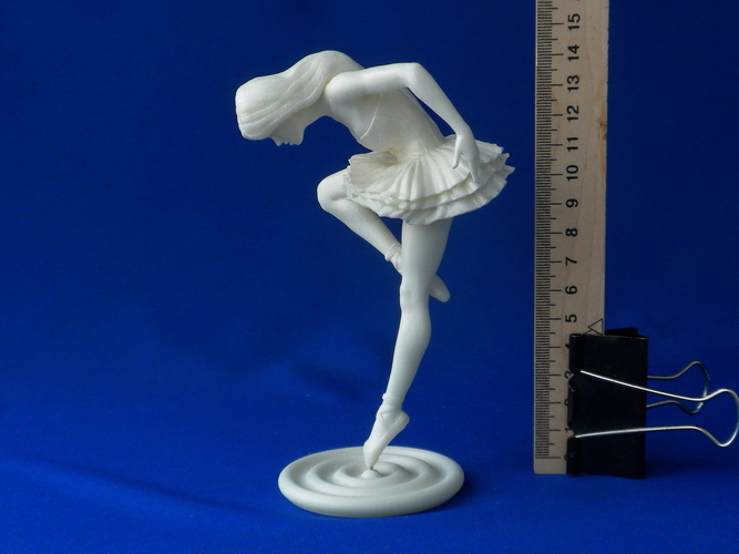 Black Swan 3D Print 226798