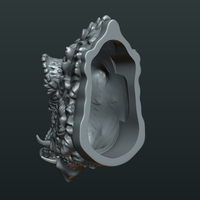 Wild Boar Mounted Head - Thumbnail 10