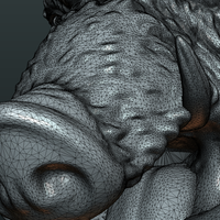 Wild Boar Mounted Head - Thumbnail 16