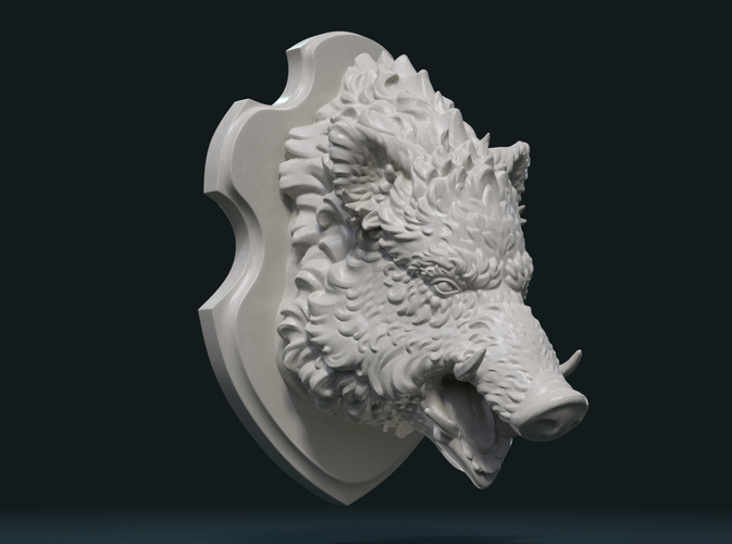 Wild Boar Mounted Head