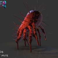Dust Mite - Thumbnail 3
