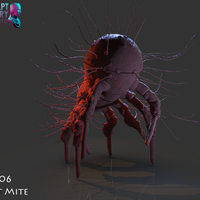 Dust Mite - Thumbnail 4