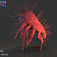 Dust Mite - Thumbnail 6
