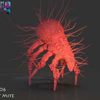 Dust Mite - Thumbnail 7