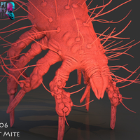 Dust Mite - Thumbnail 8