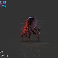 Dust Mite - Thumbnail 11