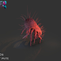 Dust Mite - Thumbnail 12