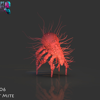 Dust Mite - Thumbnail 13