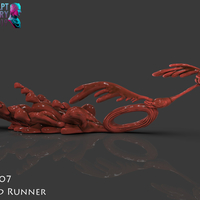 The Road Runner - Thumbnail 1