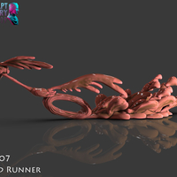 The Road Runner - Thumbnail 5