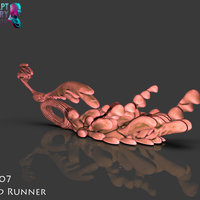 The Road Runner - Thumbnail 6