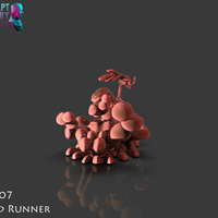 The Road Runner - Thumbnail 7