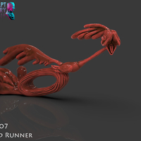 The Road Runner - Thumbnail 8