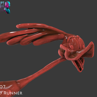The Road Runner - Thumbnail 9