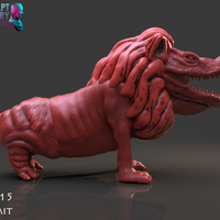 Ammit - Thumbnail 5