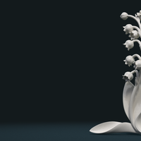 Lily of the valley - Thumbnail 2